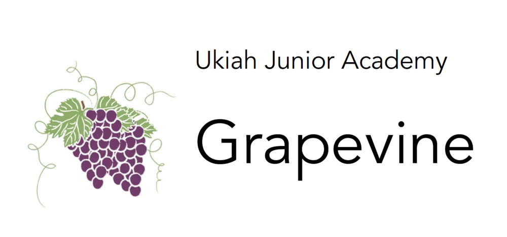 UJA Grapevine title with grape bunch