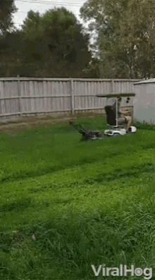 Mowing lawn gif